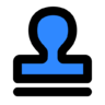 Audit icon